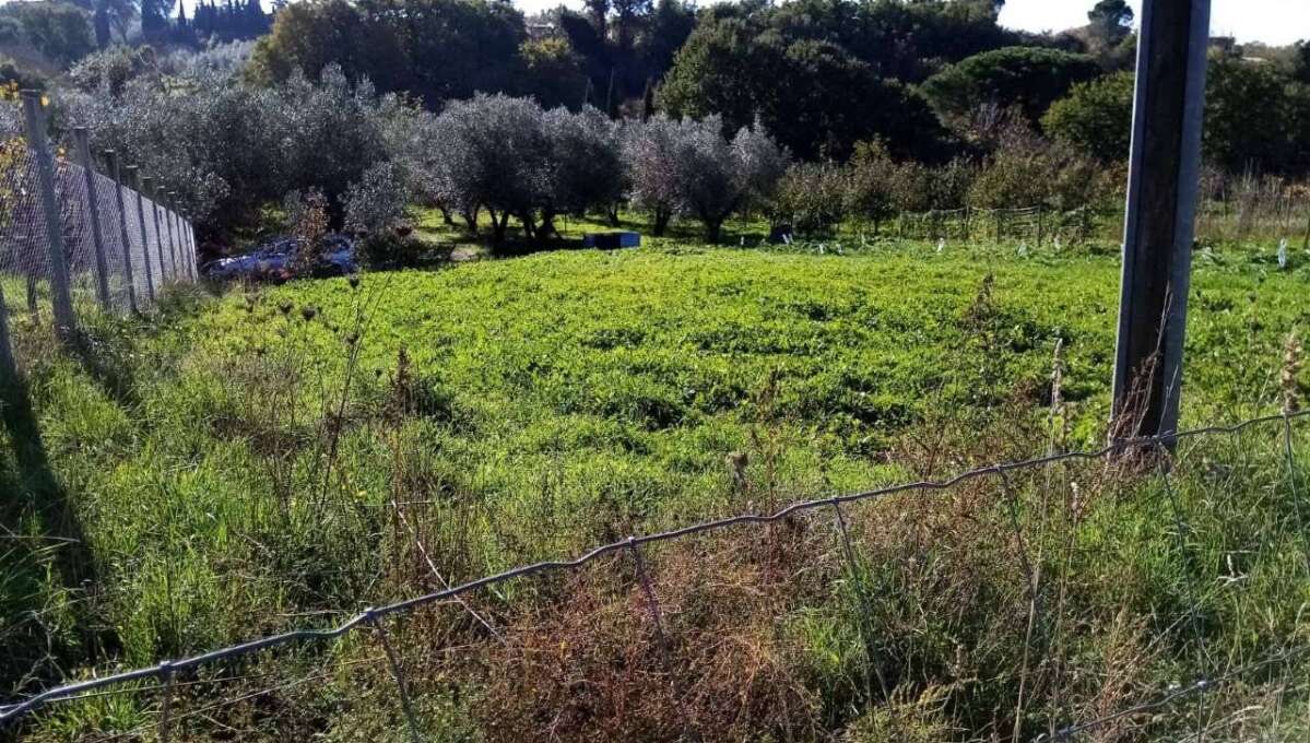 Terreno agricolo Localita’ Mazzocchio Alto, Vetralla