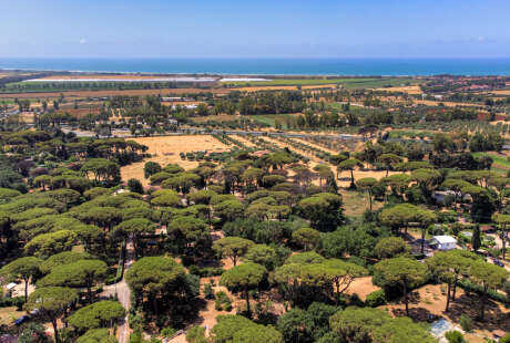 Villa in Vendita Via di Ceri, Cerveteri