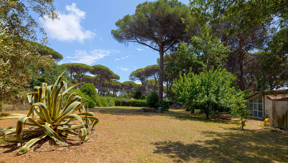 Villa in Vendita Via di Ceri, Cerveteri