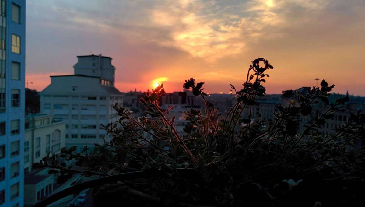 Appartamento in vendita via degli Orti Variani, Roma